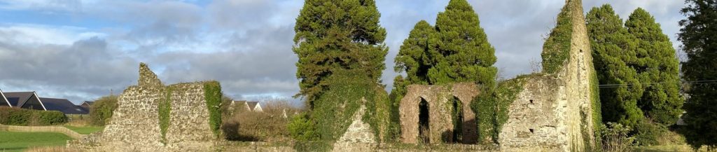 Ruins of St. Brigid's monastery at Kildare, Ireland