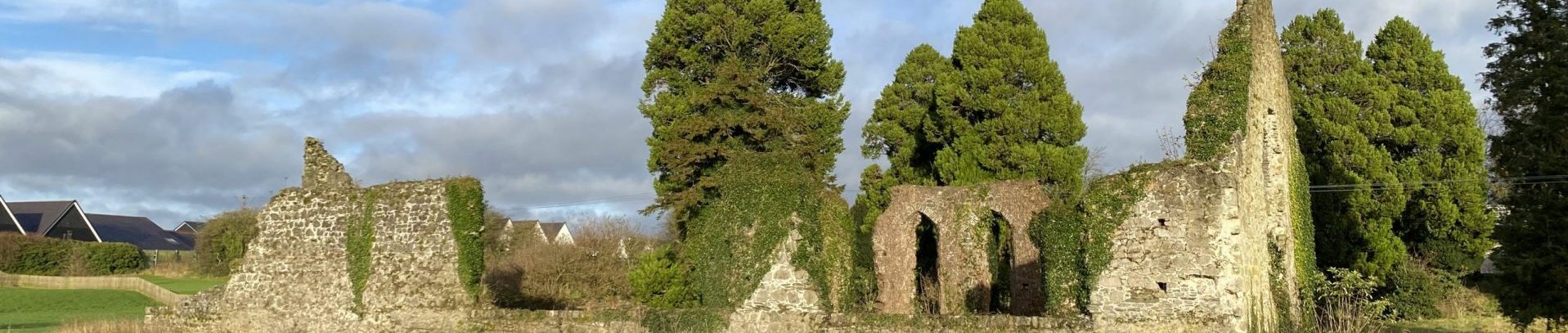 Ruins of the ancient monastery at Kildare, Ireland