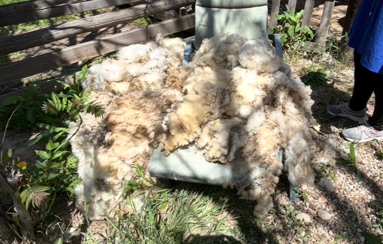 3 fleeces
