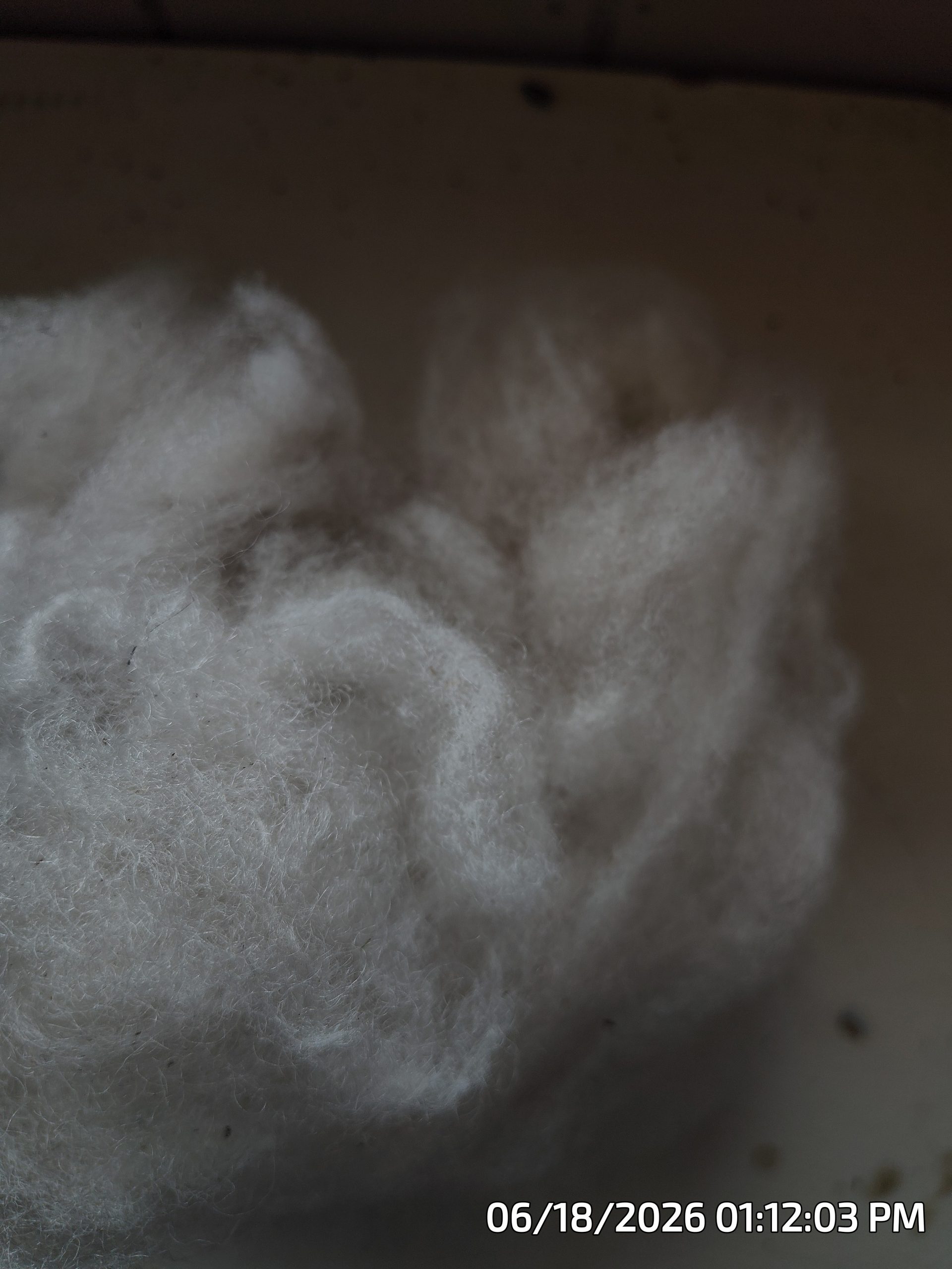 Removing Vegetable Matter from my Wool