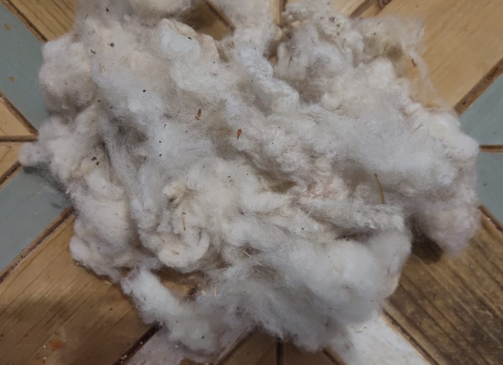 Washed Romney Wool
