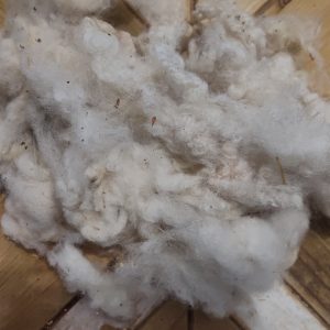 Washed Romney Wool